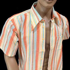 70s big collar short sleeves