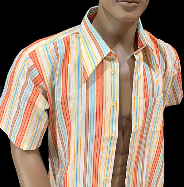 70s big collar short sleeves